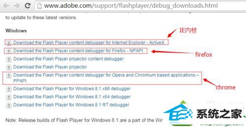 win10ϵͳʾadobe flash playerڡĽ