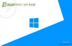<font color='#0000FF'>ײwin8.1 64λ ⼤Яv2025.05</font>