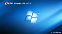 ѻ԰Windows11 64λ ˬװ 2021.09